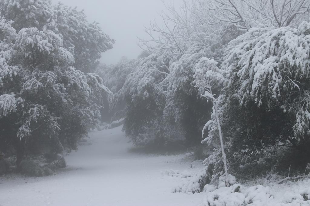 B&B Etna 1703 Belpasso Εξωτερικό φωτογραφία